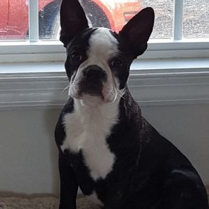 Meet your Posher, Cindy